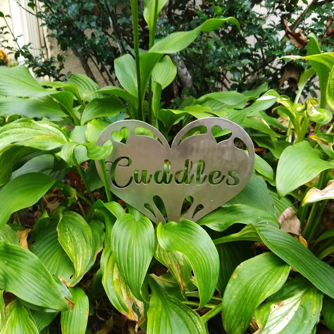 Heart with Personalized Name Garden Sign in Stainless Steel with Stake with "Cuddles" personalization shown in hasta garden