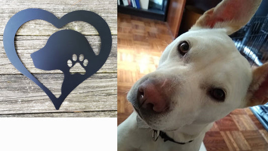 The Story Behind our "Dog Love Heart Metal Sign"