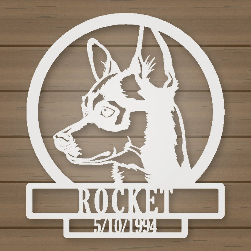 Chihuahua Dog Silhouette Personalized Name And Date Metal Sign shown in Gloss White powder coat finish.