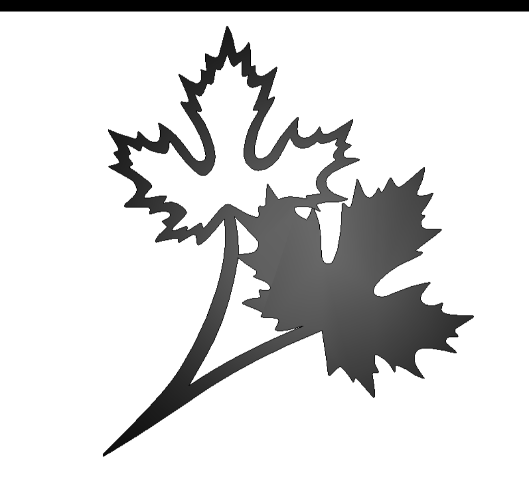 Maple Leaves